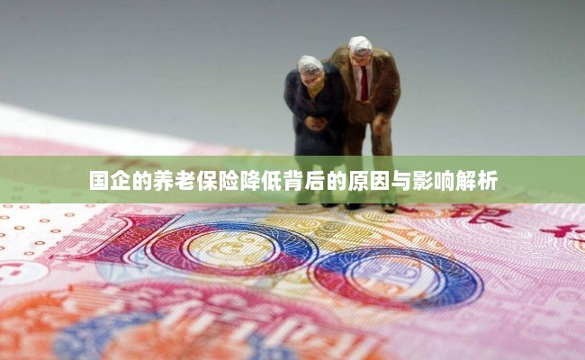 国企养老保险降低背后的原因及影响深度解析-图1