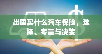 出国购车保险指南，选择、考量与决策攻略-图1