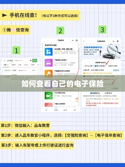 如何查看个人电子保险保单详情-图1