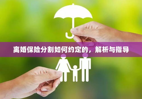 离婚保险分割约定详解与指导手册-图1 离婚保险分割约定详解与指导手册-图1