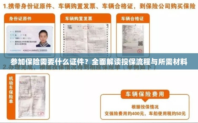 投保全攻略,保险所需证件及流程详解-图1 投保全攻略,保险所需证件及流程详解-图1