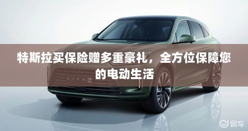 特斯拉保险优惠，全方位保障电动生活，多重豪礼等你来领-图1