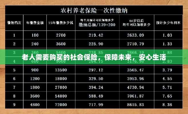 老人社会保险,保障未来,安心生活-图1 老人社会保险,保障未来,安心生活-图1