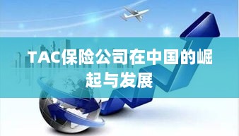 TAC保险公司在中国的崛起与蓬勃发展之路-图1