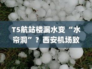 西安机场T5航站楼成水帘洞?漏水原因揭晓,排水系统遭冰雹堵塞,雨水渗进楼内并致歉-图1 西安机场T5航站楼成水帘洞?漏水原因揭晓,排水系统遭冰雹堵塞,雨水渗进楼内并致歉-图1