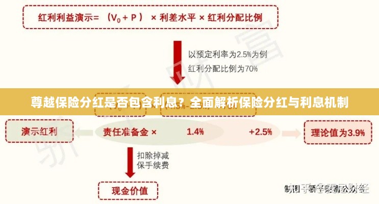 尊越保险分红详解，是否包含利息？全面解析保险分红与利息之间的关系。-图1