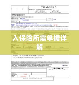 入保险必备单据解析-图1