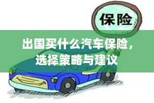 出国购车保险指南,选择策略与建议-图1 出国购车保险指南,选择策略与建议-图1