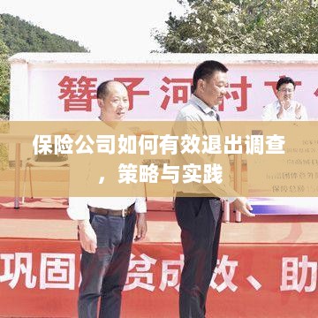 保险公司有效退出调查的策略与实践探讨-图1