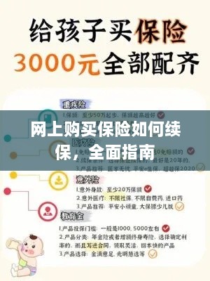 网上购买保险的续保指南，全面解析保险续保流程-图1