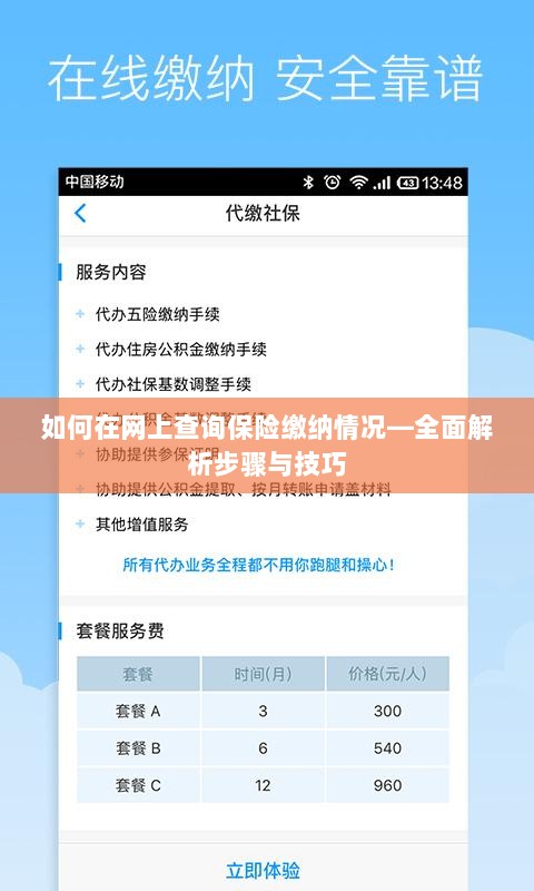 网上查询保险缴纳情况全攻略，步骤与技巧详解-图1