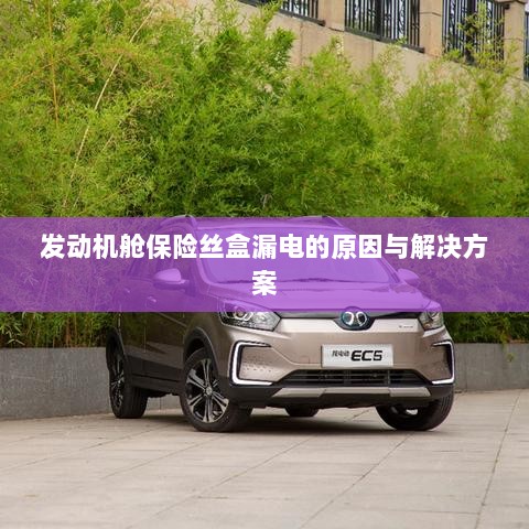 发动机舱保险丝盒漏电原因分析及解决方案-图1