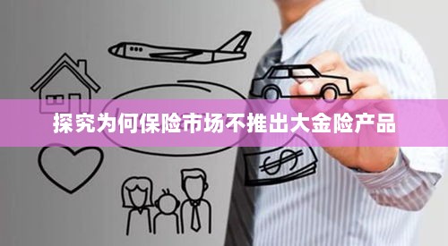 保险市场为何不推出大金险产品探究-图1