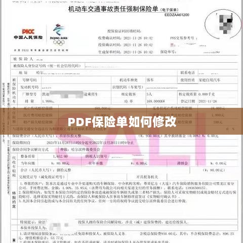 PDF保险单修改指南-图1