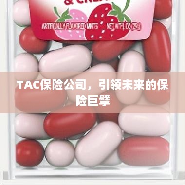 TAC保险公司，引领未来的保险行业巨擘-图1