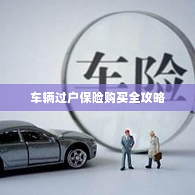 车辆过户保险购买指南，全攻略概览-图1