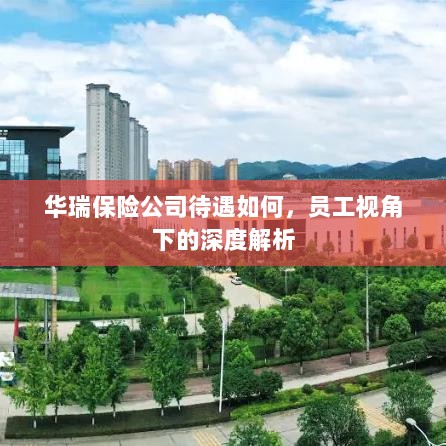 华瑞保险公司员工待遇深度解析，员工视角探讨福利待遇-图1