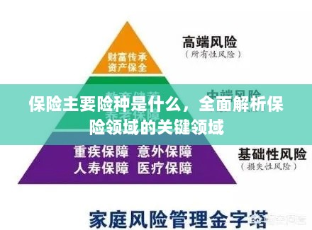 全面解析保险领域关键领域,主要险种介绍与概述-图1 全面解析保险领域关键领域,主要险种介绍与概述-图1
