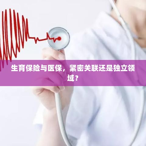 生育保险与医保,紧密关联还是独立领域探讨?-图1 生育保险与医保,紧密关联还是独立领域探讨?-图1