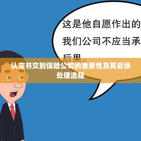 认定书对保险公司的重要性及后续处理流程详解-图1 认定书对保险公司的重要性及后续处理流程详解-图1