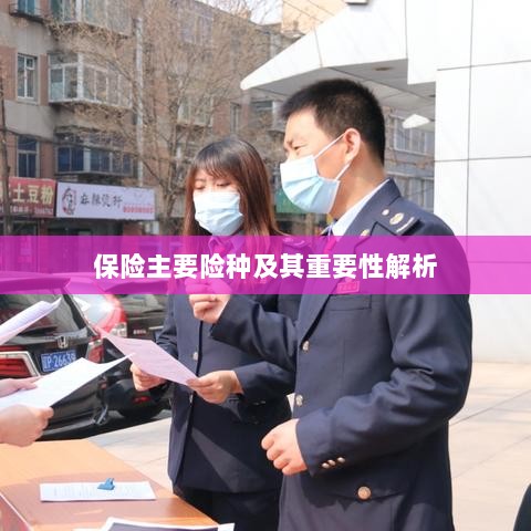 保险主要险种及其重要性深度解析-图1