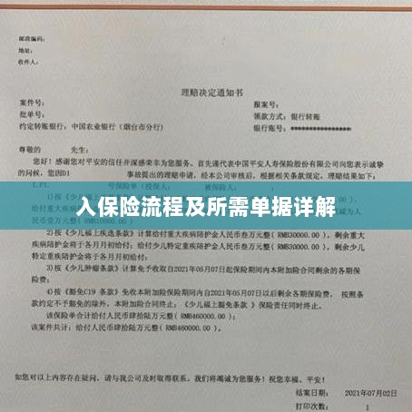 保险投保流程与所需单据全面解析-图1 保险投保流程与所需单据全面解析-图1