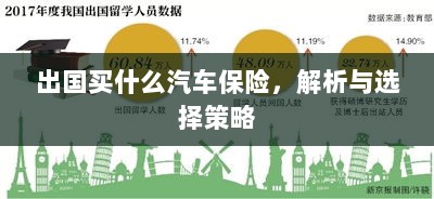 出国购车保险指南,解析与选择策略-图1 出国购车保险指南,解析与选择策略-图1