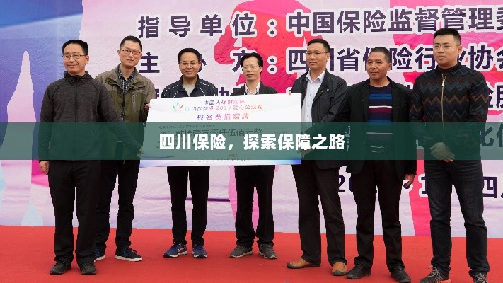 四川保险，探索全方位保障之路-图1