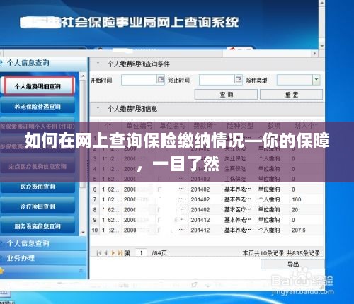 网上查询保险缴纳情况,保障一目了然-图1 网上查询保险缴纳情况,保障一目了然-图1