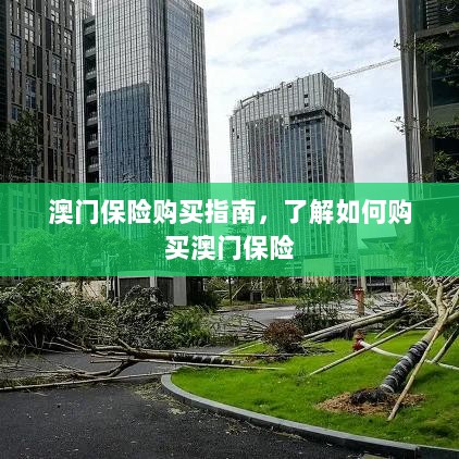 澳门保险购买攻略，轻松了解澳门保险购买流程-图1