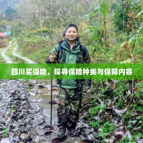 四川保险探秘,种类与保障内容全解析-图1 四川保险探秘,种类与保障内容全解析-图1