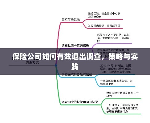 保险公司有效退出调查的策略与实践探讨-图1