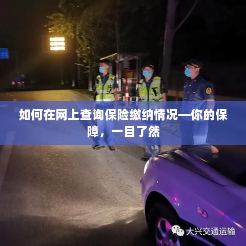 网上查询保险缴纳情况，保障一目了然-图1