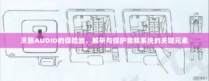 天籁AUDIO保险丝，解析与音频系统保护的关键要素-图1