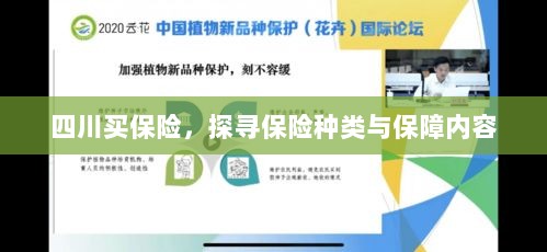 四川保险探秘，种类与保障内容全解析-图1