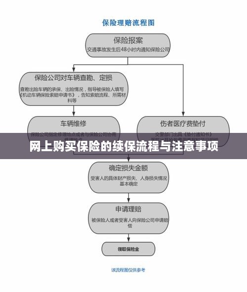 网上保险续保流程及注意事项详解-图1