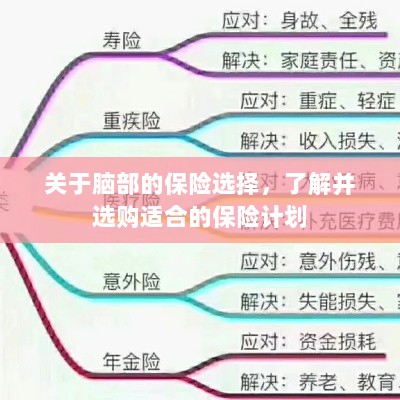 如何选择脑部保险计划，了解并选购适合的保险方案-图1