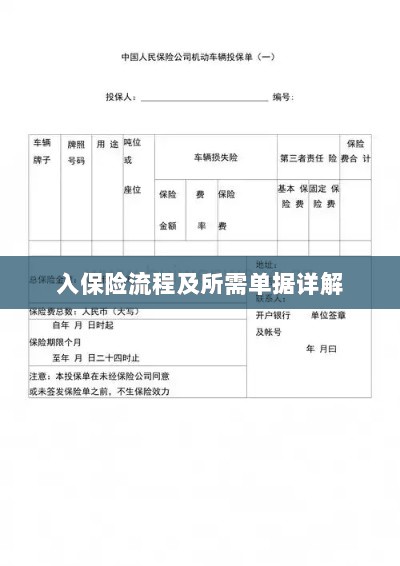 保险投保流程与所需单据全面解析-图1