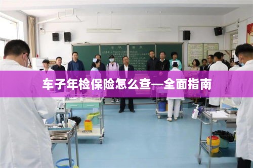 全面指南，如何查询车辆年检保险信息-图1