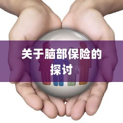 脑部保险，深度探讨与解析-图1
