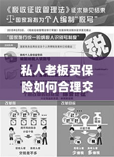 私人老板如何合理购买保险并交税指南-图1