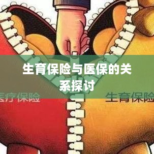 生育保险与医保关系深度探讨,融合与协同发展的视角-图1 生育保险与医保关系深度探讨,融合与协同发展的视角-图1