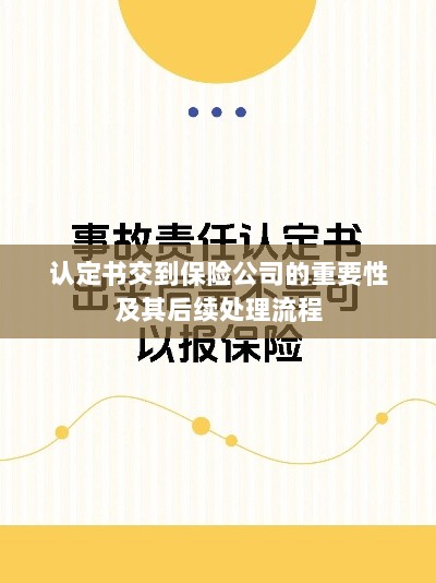 认定书对保险公司的重要性及后续处理流程详解-图1