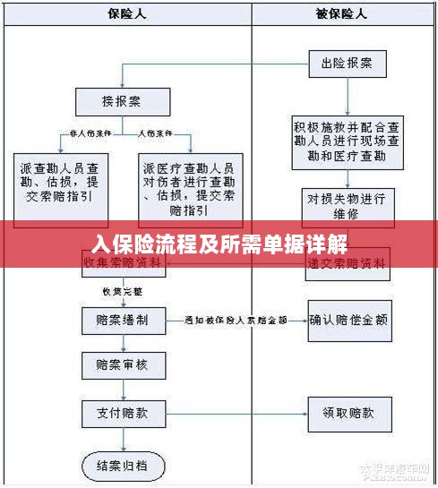保险投保流程与所需单据全面解析-图1