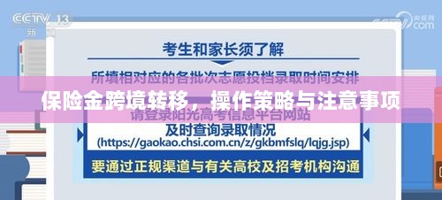 保险金跨境转移,操作策略及注意事项指南-图1 保险金跨境转移,操作策略及注意事项指南-图1