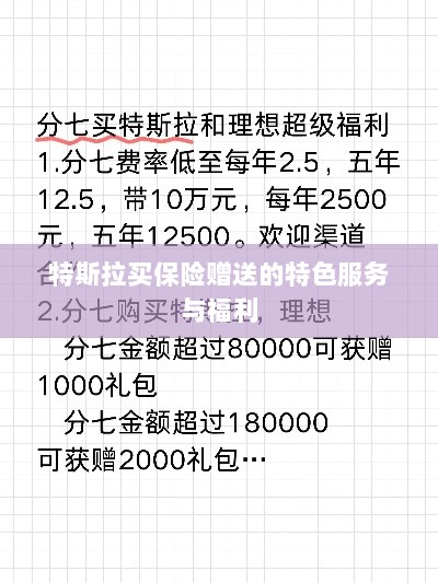 特斯拉保险特惠,独家特色服务与丰厚赠品等你来享-图1 特斯拉保险特惠,独家特色服务与丰厚赠品等你来享-图1