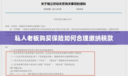 私人老板购买保险如何合理缴税，策略与指南-图1