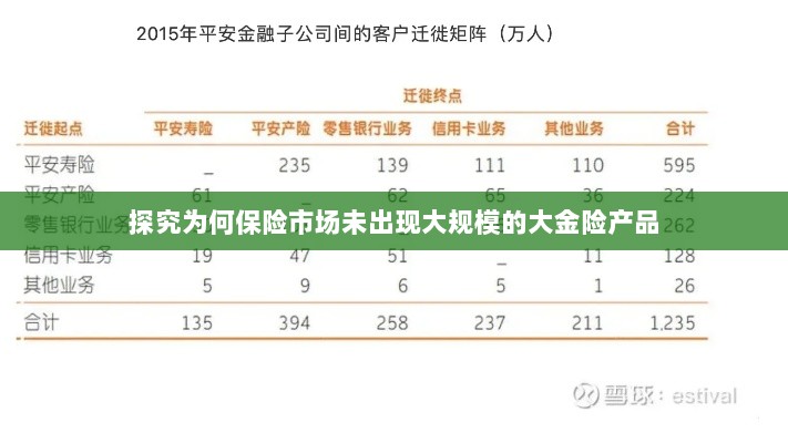 探究保险市场未出现大规模大金险产品的原因-图1 探究保险市场未出现大规模大金险产品的原因-图1