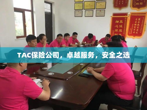 TAC保险公司,卓越服务,信赖的安全之选-图1 TAC保险公司,卓越服务,信赖的安全之选-图1