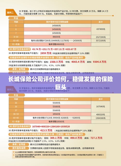 长城保险公司评价及稳健发展的保险巨头概况-图1
